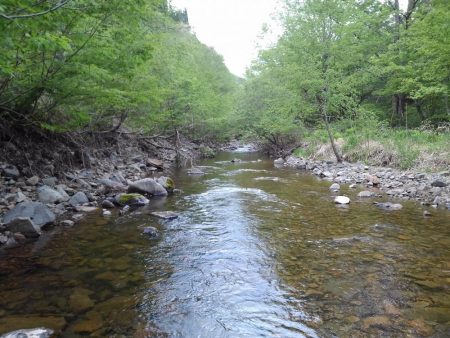 渓流ミノーイング